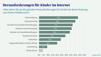 Balkendiagramm über die Herausforderungen für Kinder im Internet