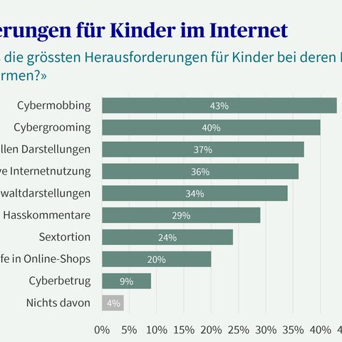 Balkendiagramm über die Herausforderungen für Kinder im Internet