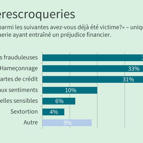 Un diagramme à barres montre des formes de cyberescroquerie vécues.
