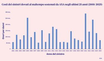 Grafico della statistica sui danni da maltempo