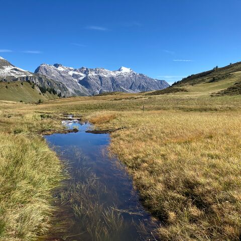 Un cours d’eau traverse un haut marais. En arrière-plan, on voit des montagnes sur lesquelles il y a encore de la neige.