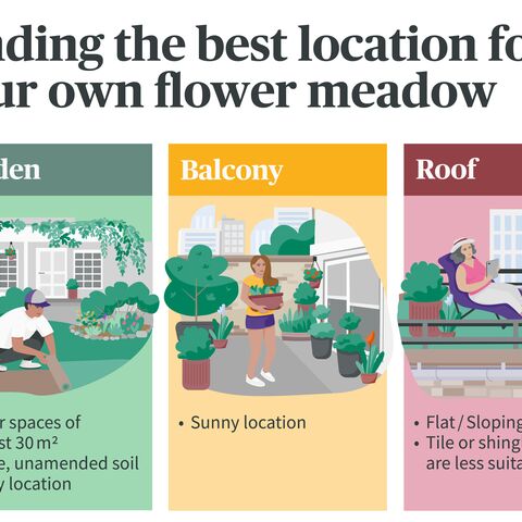 Illustration for choosing optimal areas for a flower meadow: garden, balcony or roof, each with specific requirements and tips.