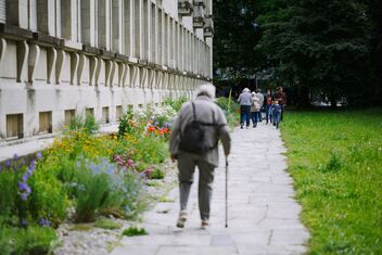 Elderly person with walking stick walks along a path lined with flowerbeds and greenery. Other people can be seen further along the path.