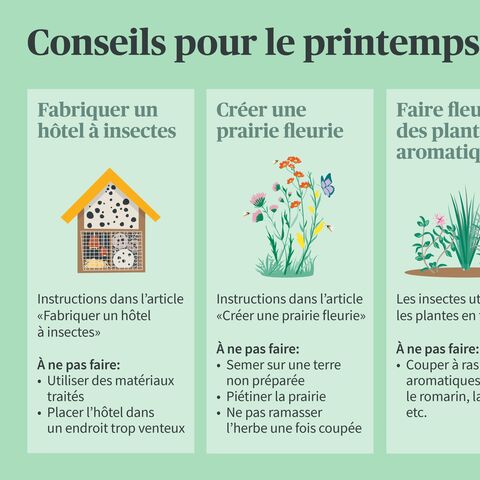 Illustration avec trois conseils pour le printemps: Construire un hôtel à insectes, aménager une prairie fleurie et laisser fleurir des herbes aromatiques, avec les instructions correspondantes et ce qu’il ne faut pas faire.