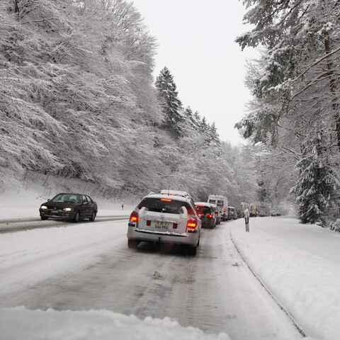 Der Wald ist frisch verschneit. Weil die Strasse noch schneebedeckt wird, bildet sich eine Kolonne.