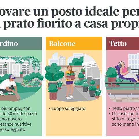 Illustrazione per la scelta delle superfici ottimali per un prato fiorito: Giardino, balcone o tetto, ognuno con requisiti e consigli specifici.