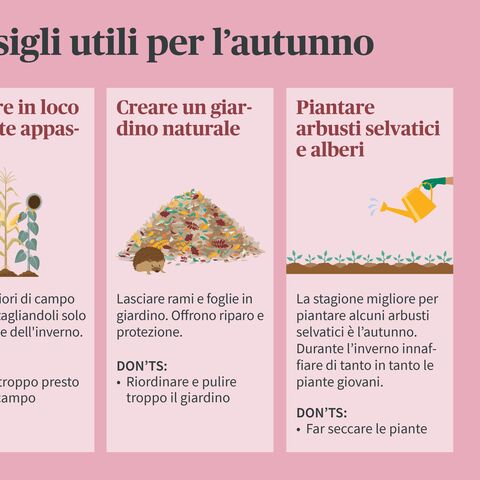Infografica con tre consigli utili per l’autunno: Lasciare le piante appassite, creare un giardino naturale e piantare arbusti e alberi selvatici.