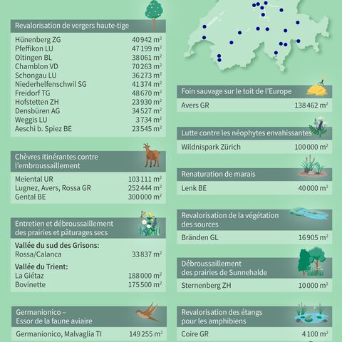Infographie montrant différents projets de valorisation de Flora Futura en Suisse avec des repères cartographiques et des symboles explicatifs sur les projets.