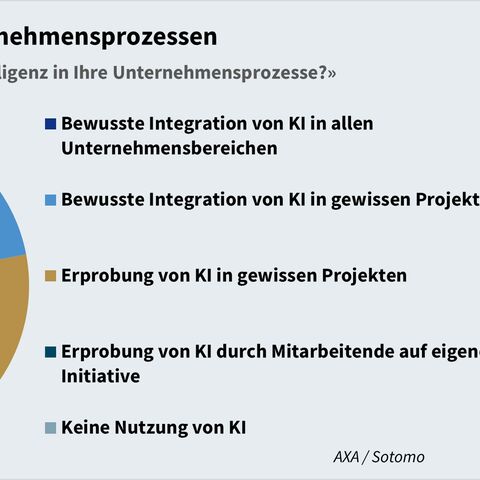 Ein Kreisdiagramm zeigt, wie die Unternehmen KI in ihren Unternehmensprozessen integriert.