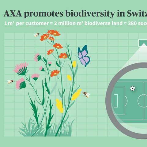 Illustration shows flowers and insects next to a magnifying glass that enlarges a football pitch. Text explains AXA's contribution to biodiversity in Switzerland.