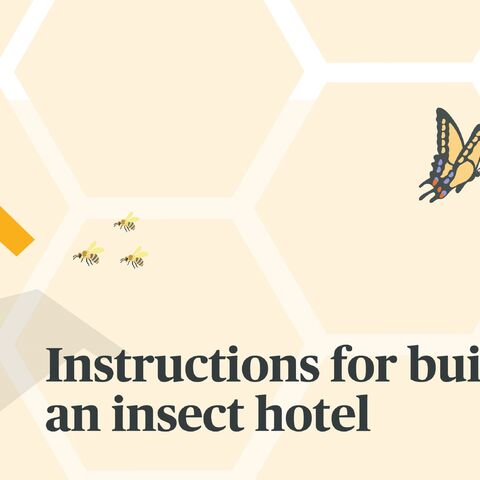 Illustration of an insect hotel with various filling materials, next to the text “Instructions for building an insect hotel” and flying insects.