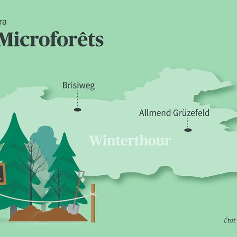 Une carte de l’implantation des microforêts à Winterthour. En bas à gauche, il y a la microforêt.
