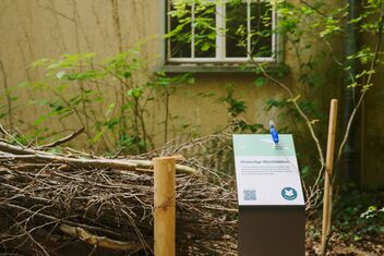 An information board stands next to a pile of branches.