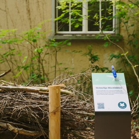 Un panneau d’information est placé à côté d’un tas de branches.