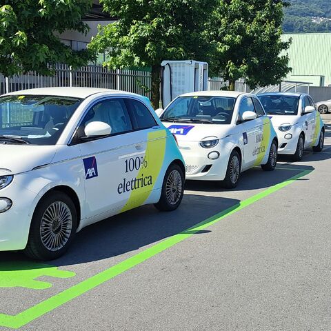 Fila di auto elettriche bianche parcheggiate sulla cui fiancata è scritto «100% elettrica». Sullo sfondo si vedono degli alberi.