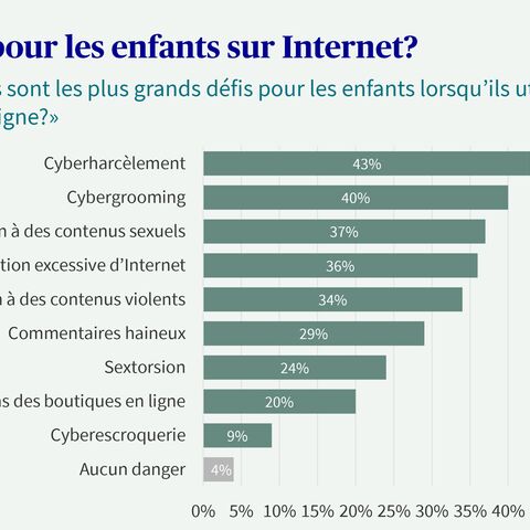 Diagramme en bâtons sur les défis auxquels sont confrontés les enfants sur Internet