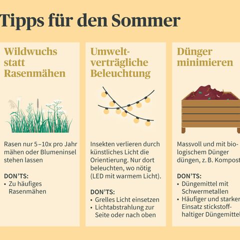Infografik mit drei Sommer-Tipps: Wildwuchs statt Rasenmähen, umweltverträgliche Beleuchtung und Dünger minimieren, jeweils mit Do's und Don'ts.