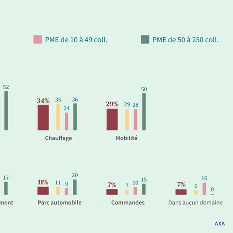 Un diagramme en bâtons montre les mesures prises par les entreprises dans les domaines des déchets, des biomatériaux, de l’énergie, du chauffage, de la mobilité, de l’informatique, de la logistique, des réfrigérants, du parc automobile, des achats et de petits domaines.