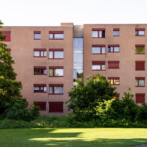 Ein ockerfarbener Wohnblock, davor eine grüne Wiese mit einigen Bäumen
