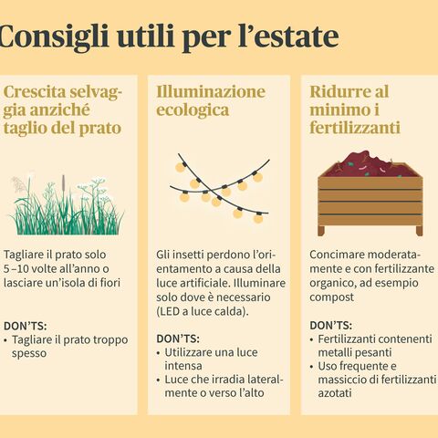 Infografica con tre consigli per l’estate: Ridurre al minimo la crescita selvatica invece di tagliare il prato, un’illuminazione a basso impatto ambientale e fertilizzanti, ogni volta con cose da fare e da non fare.