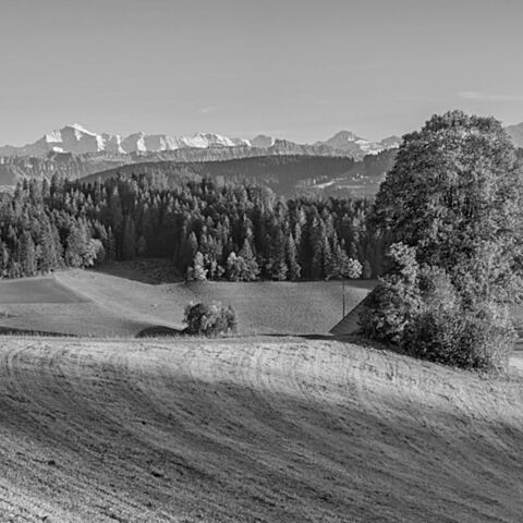 Konolfingen