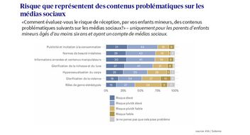 les différents risques liés aux images sur les réseaux sociaux ont été évalués sur une échelle allant de « élevé » à « sans problème » et présentés sous forme de diagramme à barres