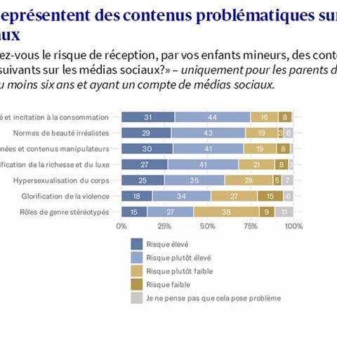 les différents risques liés aux images sur les réseaux sociaux ont été évalués sur une échelle allant de « élevé » à « sans problème » et présentés sous forme de diagramme à barres