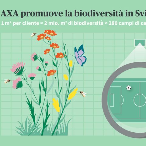 L'illustrazione mostra fiori e insetti accanto a una lente di ingrandimento che ingrandisce un campo da calcio. Il testo spiega il contributo di AXA alla biodiversità in Svizzera.