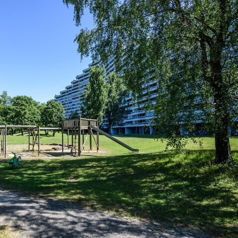 Ein Park mit Bäumen, Rasen und einem Spielplatz. Im rechten Hintergrund ein modernes treppenförmiges Hochhaus.