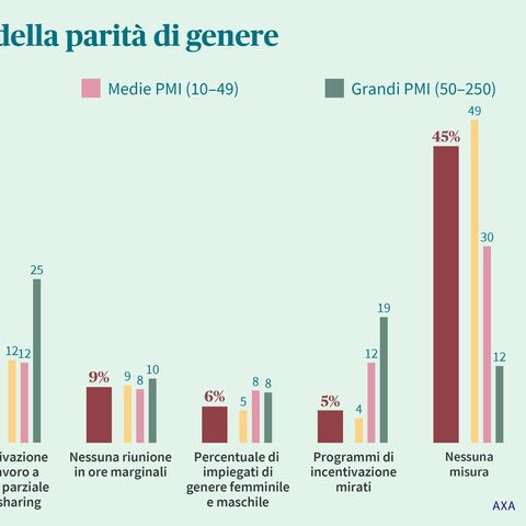 Un diagramma a barre illustra le misure per la promozione della parità di genere in aziende di diverse dimensioni, come orari di lavoro flessibili e programmi d’incentivazione di genere.