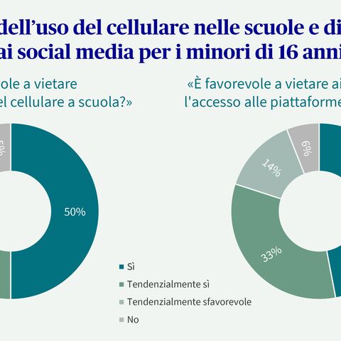 Due diagrammi a torta con risposte relative al divieto di telefonia mobile nelle scuole e al divieto dei social media per i bambini