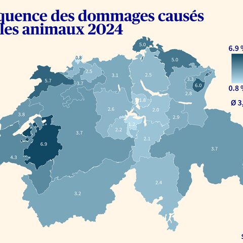 Une carte de la Suisse avec code couleur montre le nombre d’accidents déclarés par canton en 2024.