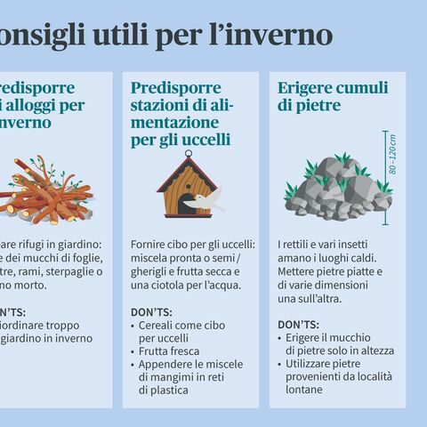 Infografica con tre consigli per l’inverno: Allestire quartieri invernali, allestire stalle per il foraggio per gli uccelli e costruire cumuli di pietre.