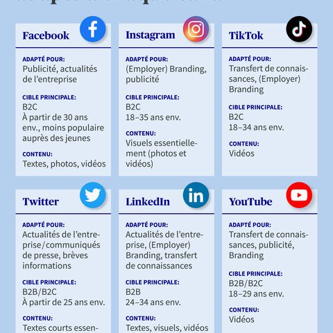 Infographie sur les médias sociaux : Contenus pour Facebook, Instagram, TikTok, Twitter, LinkedIn et YouTube, avec groupes cibles, adéquation et types de contenus.