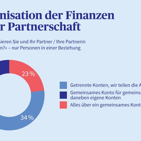 Grafik, die Organisation der Finanzen in der Partnerschaft in Kreisdiagramm darstellt.