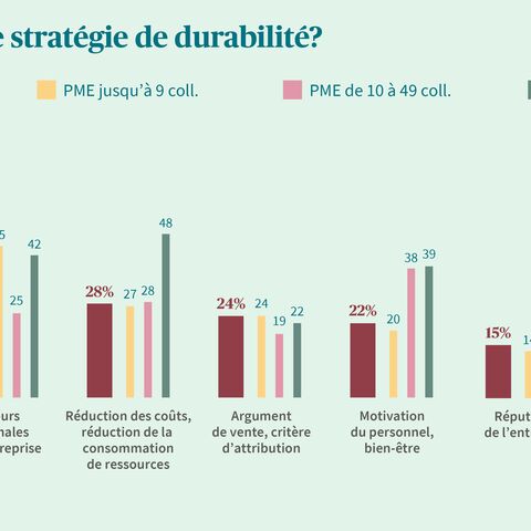 Un diagramme en bâtons montre les raisons du développement durable dans les petites, moyennes et grandes PME, notamment la préservation des ressources et la réputation de l’entreprise.