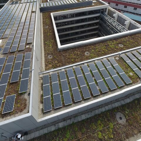 Sur la photo, on peut voir plusieurs rangées de panneaux solaires sur les toits verts des bâtiments modernes dans une ville.