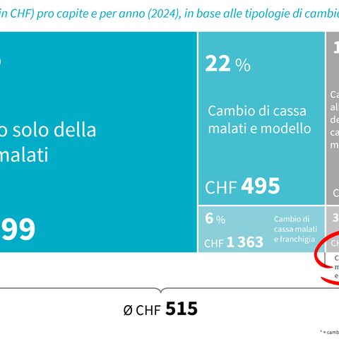 Il grafico mostra i risparmi in caso di cambio di cassa in Svizzera: CHF 399 per cambio di cassa, CHF 495 per cambio di cassa e modello.
