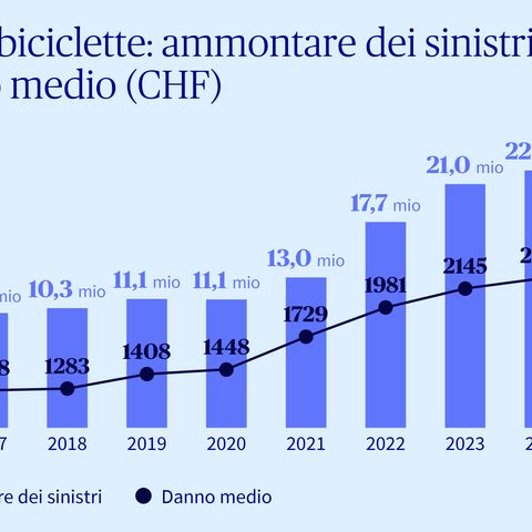 Grafico che illustra l'andamento dell'importo totale dei danni/del danno medio causato dai furti di biciclette