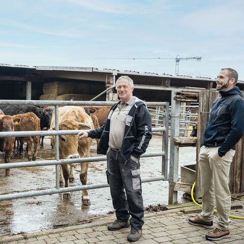 Drei Männer unterhalten sich vor einem Kuhstall, in dem mehrere Kühe stehen. Zwei Männer lehnen am Zaun, einer steht daneben.