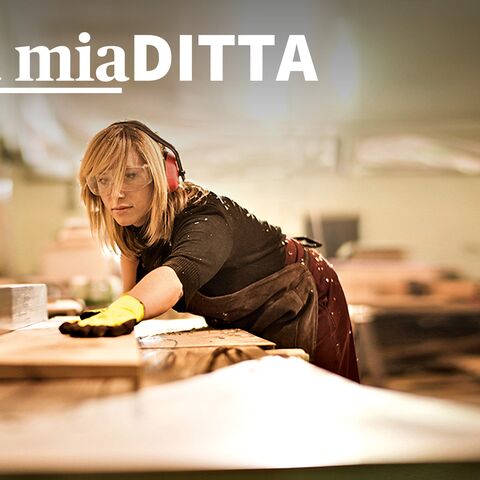 La mia ditta