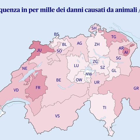 La cartina della Svizzera mostra la frequenza dei danni causati da animali e animali selvatici nel 2022 in per mille, graduata per colore in base alla frequenza, con i valori più elevati nella regione occidentale.