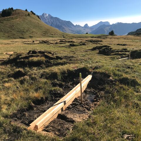 Dans un haut marais, une tranchée est creusée avec des palplanches. La zone est alors à nouveau humide.