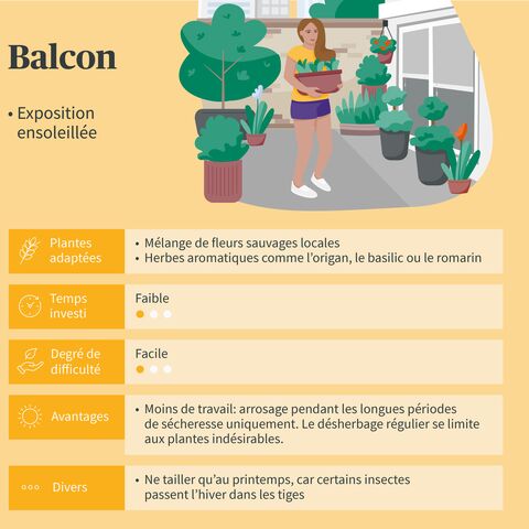 Illustration d’un balcon avec des plantes et d’une personne tenant un pot de fleurs. Le texte explique les plantes appropriées et les conseils d’entretien pour les balcons ensoleillés.