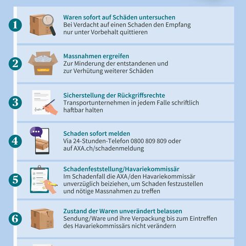 Infografik: Schritte bei Transportschäden, von der Untersuchung der Waren über Schadensmeldung bis zur Bereitstellung von Unterlagen.