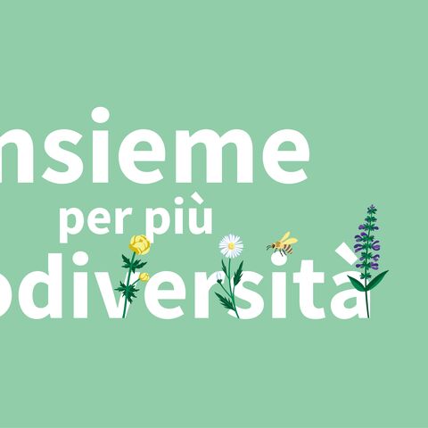 Illustrazione "Insieme per più biodiversità"