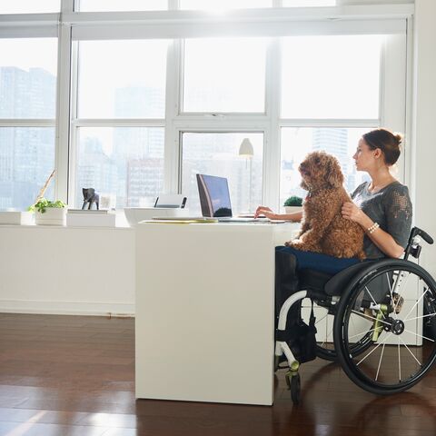 A woman in a wheelchair works on a laptop in a bright, modern room while a small brown dog sits on her lap.