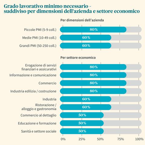 Il diagramma a barre mostra il grado lavorativo minimo necessario in base alle dimensioni dell’azienda e al settore. Le PMI più grandi necessitano del 60% e il settore finanziario dell’80%.