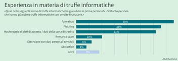 Un diagramma a barre illustra le forme sperimentate di frode informatica.