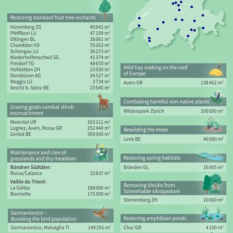 Infographic shows various Flora Futura enhancement projects in Switzerland with map markings and explanatory symbols for the projects.